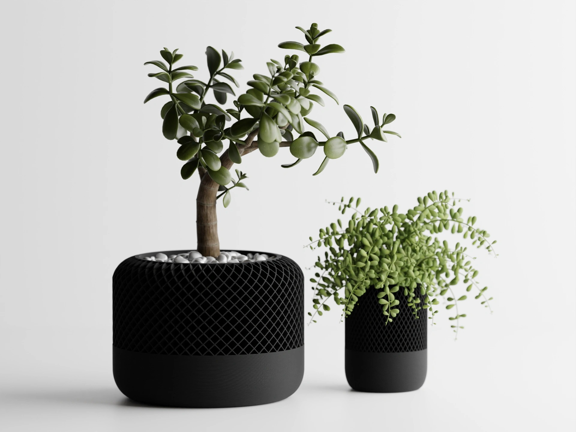 Vaso di Design-Home Pad